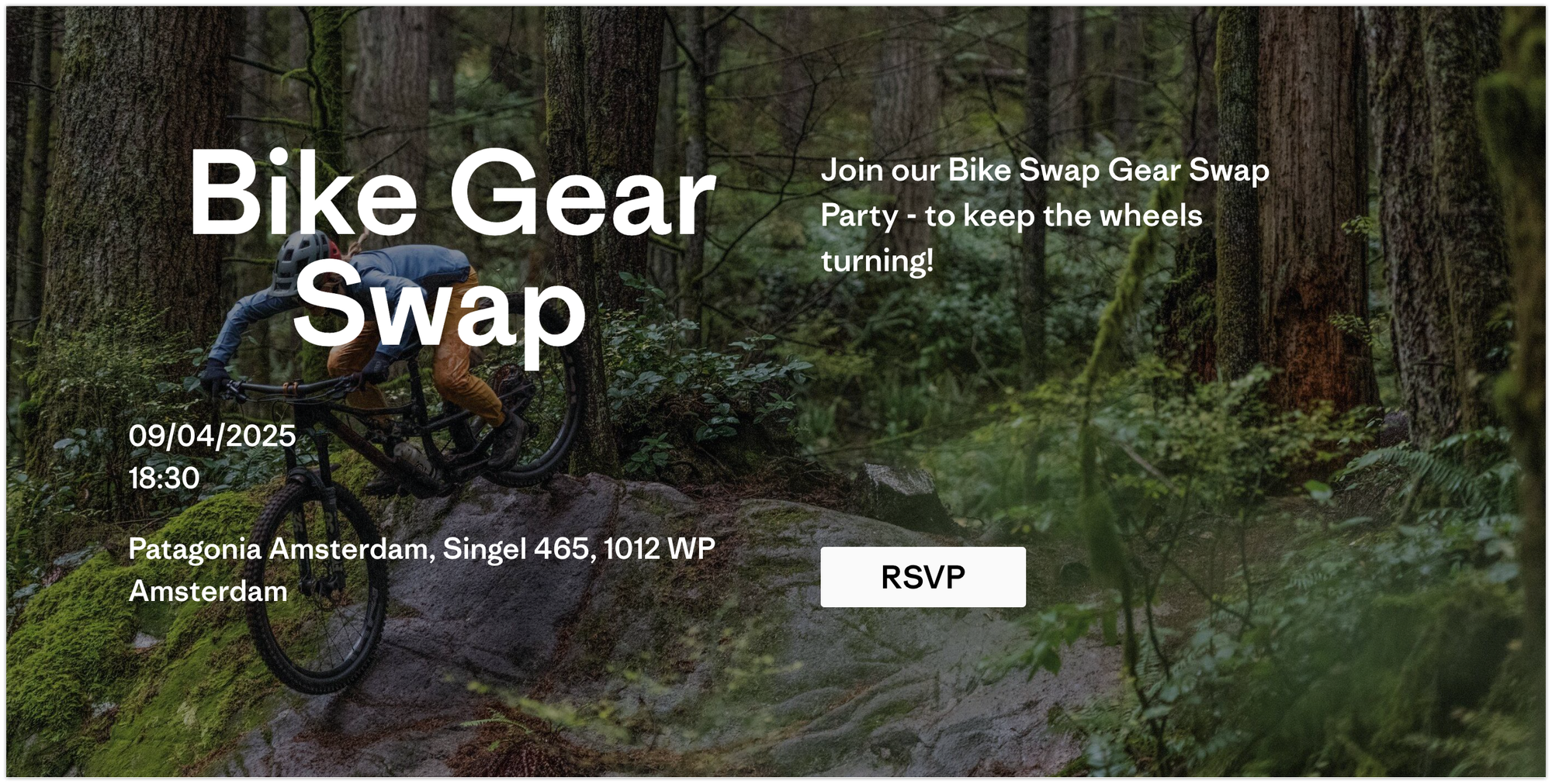 ヾ(๑╹◡╹)ﾉ Nº346 Easiest Way To Show You Care? Just Show Up, Reliability Is Rare. 🔎🐦‍🔥