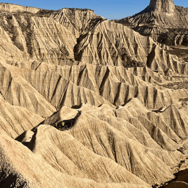 (˚ ˃̣̣̥⌓˂̣̣̥) Nº353 With AI, I'm Not Impressed, As Anti-Intellectualism Is The Pedagogy of The Oppressed 🤖 ⛓️