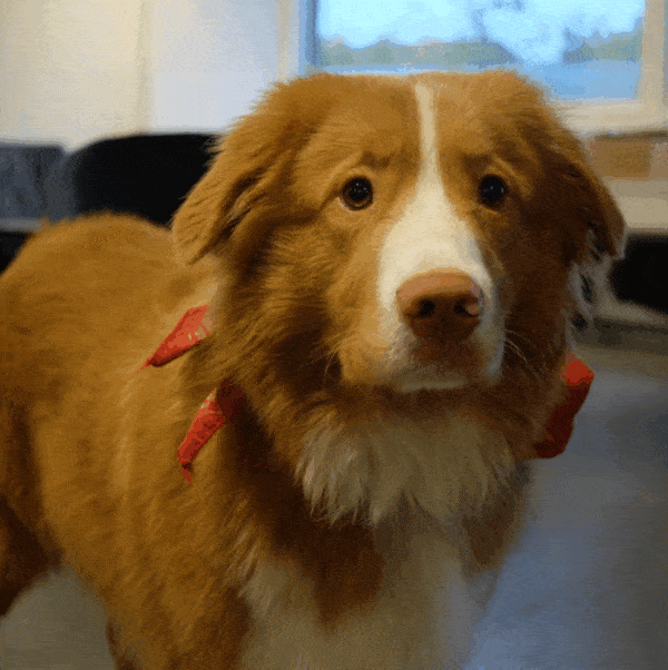 ⋆.ೃ࿔⛈ ˖*༄ Nº355 With Young & Old, We Braved The Wet & Cold 🌧️ 🥶