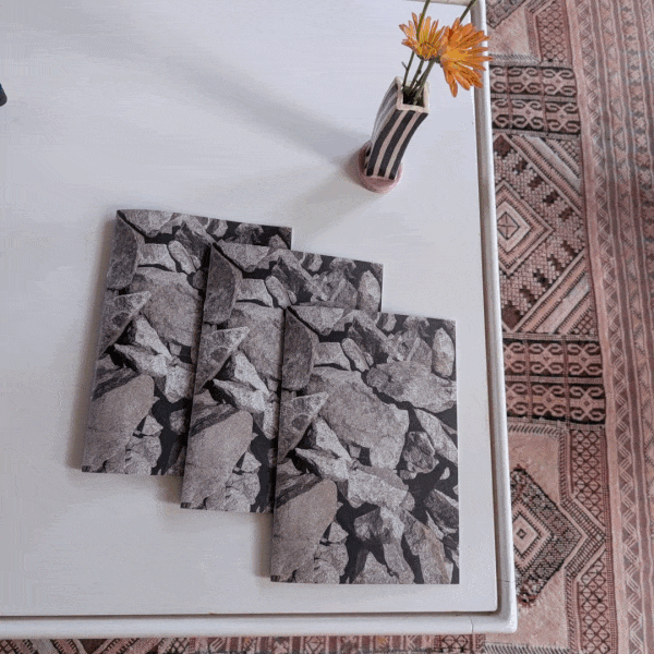 ( • ᴗ - ) ✧ Nº358 The Allure of Rouleur ✨🚲