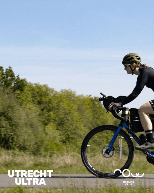 ( • ᴗ - ) ✧ Nº358 The Allure of Rouleur ✨🚲