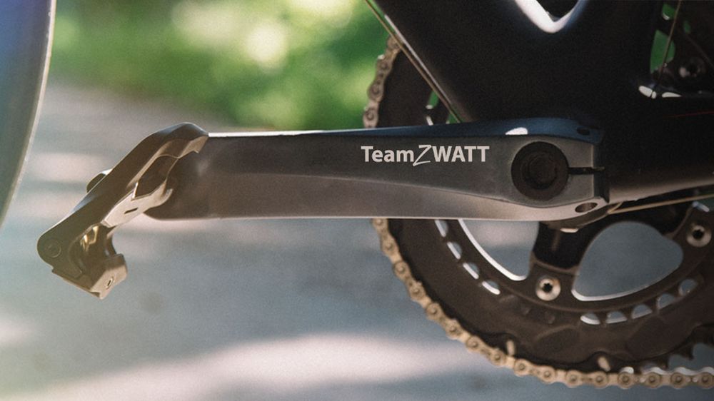 SENSITIVUS Gauge – Team ZWATT