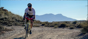 ʕᴥ·　ʔ Nº263 Taking a Spin to Berlin 🏴🐻