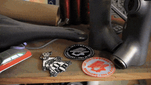 ( • ᴗ - ) ✧ Nº358 The Allure of Rouleur ✨🚲