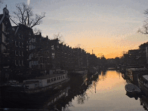 𐔌՞ ܸ.ˬ.ܸ՞𐦯  Nº366 Believe Your Eyes, ICE Lies 🧊 👀