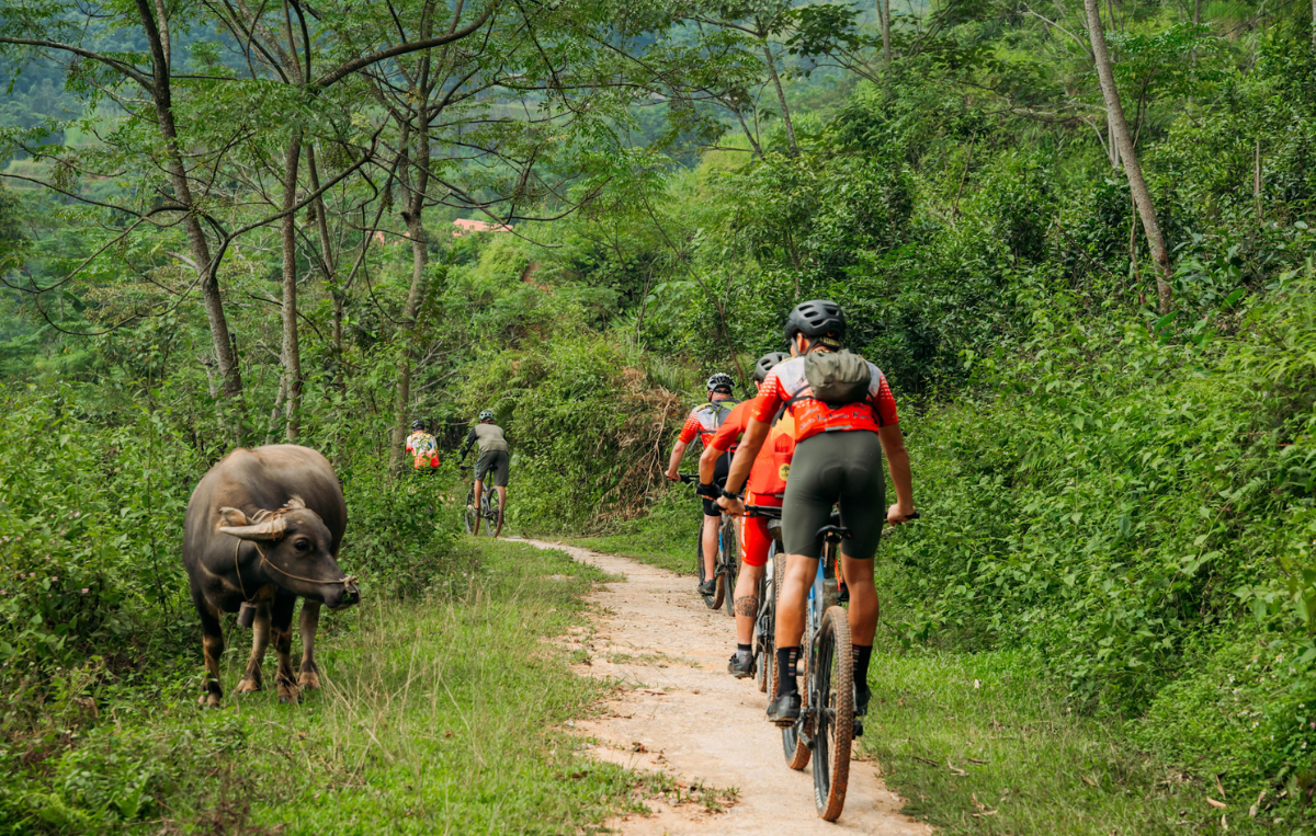 ( ꈍ◡ꈍ) Nº360 Had A Blast, Came In Last 💥 🏁