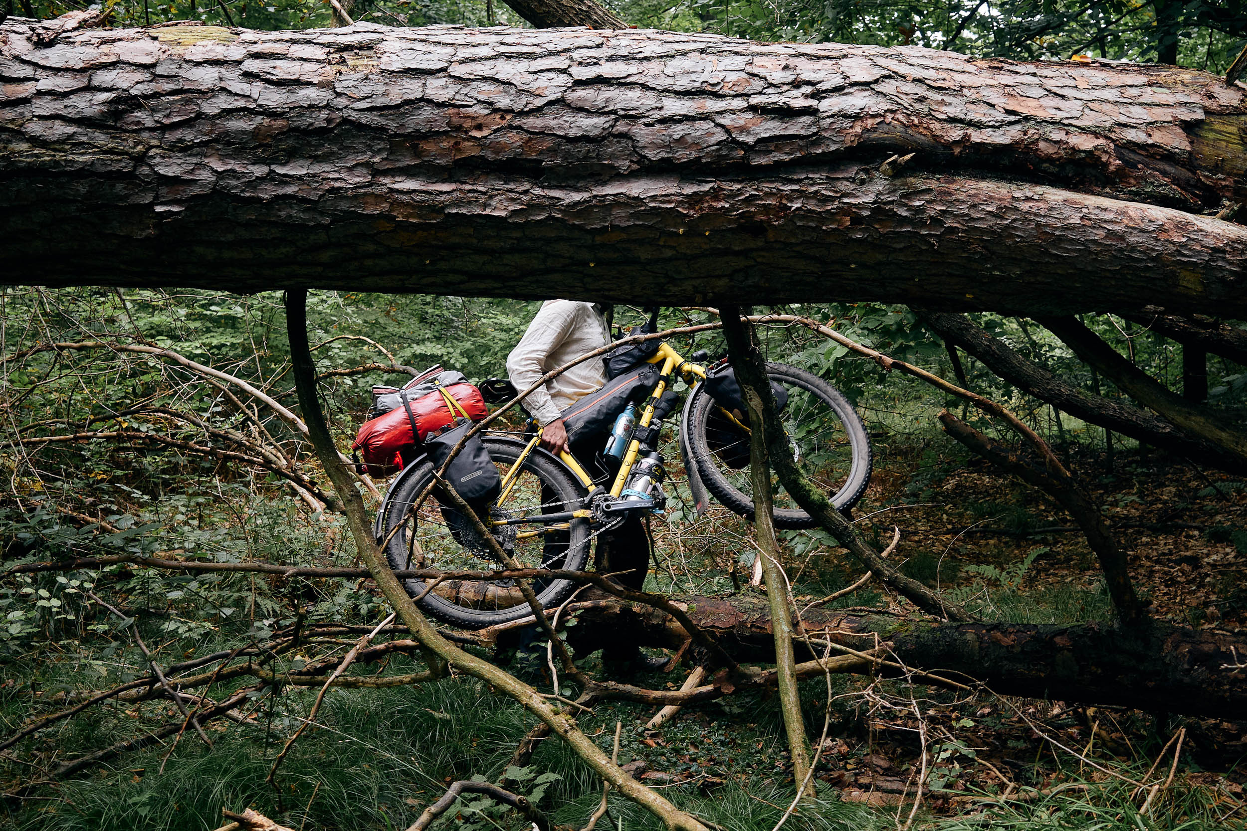 ヾ(๑╹◡╹)ﾉ Nº346 Easiest Way To Show You Care? Just Show Up, Reliability Is Rare. 🔎🐦‍🔥