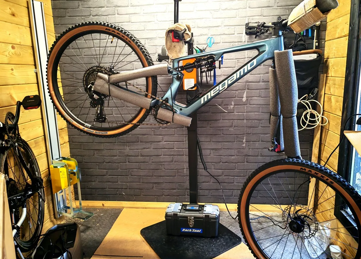 ( • ᴗ - ) ✧ Nº358 The Allure of Rouleur ✨🚲